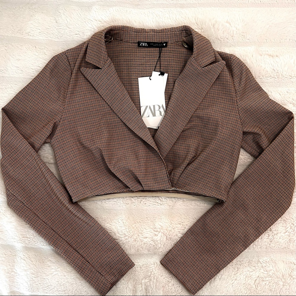 ZARA Cropped Long Sleeve Top